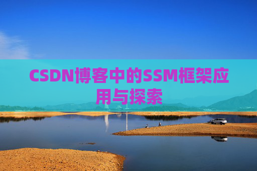 CSDN博客中的SSM框架应用与探索